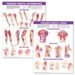 Trigger Point Chart Set: Torso & Extremities